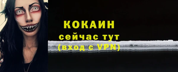 мяу мяу мука Белокуриха