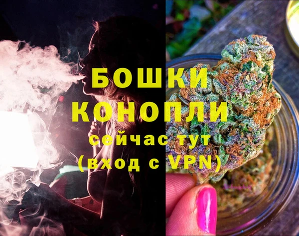 мяу мяу мука Белокуриха