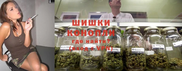 мяу мяу мука Белокуриха