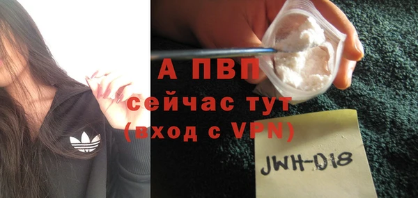 мяу мяу мука Белокуриха