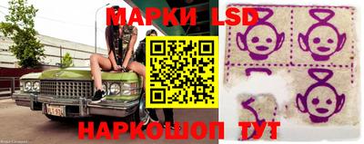 дмт Краснодар