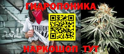 таблы Краснознаменск