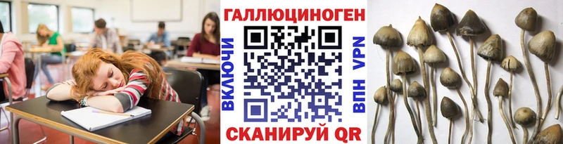 цены   Буйнакск  Псилоцибиновые грибы мухоморы 