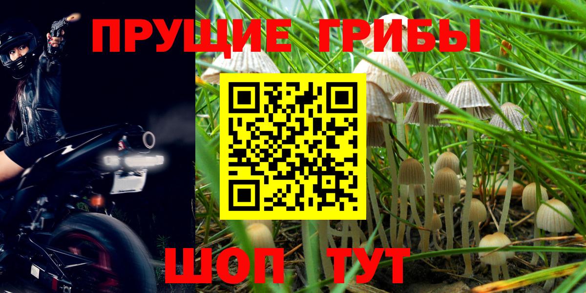 Галлюциногенные грибы мицелий Буйнакск