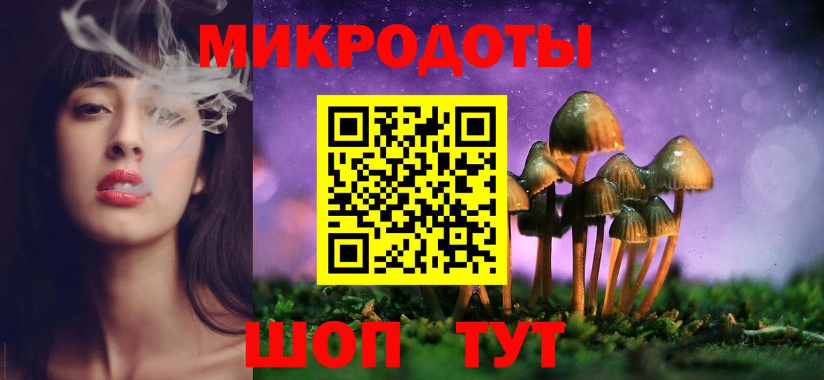 Буйнакск  Галлюциногенные грибы ЛСД  купить   Вход с VPN  Псилоцибиновые грибы Psilocybe 