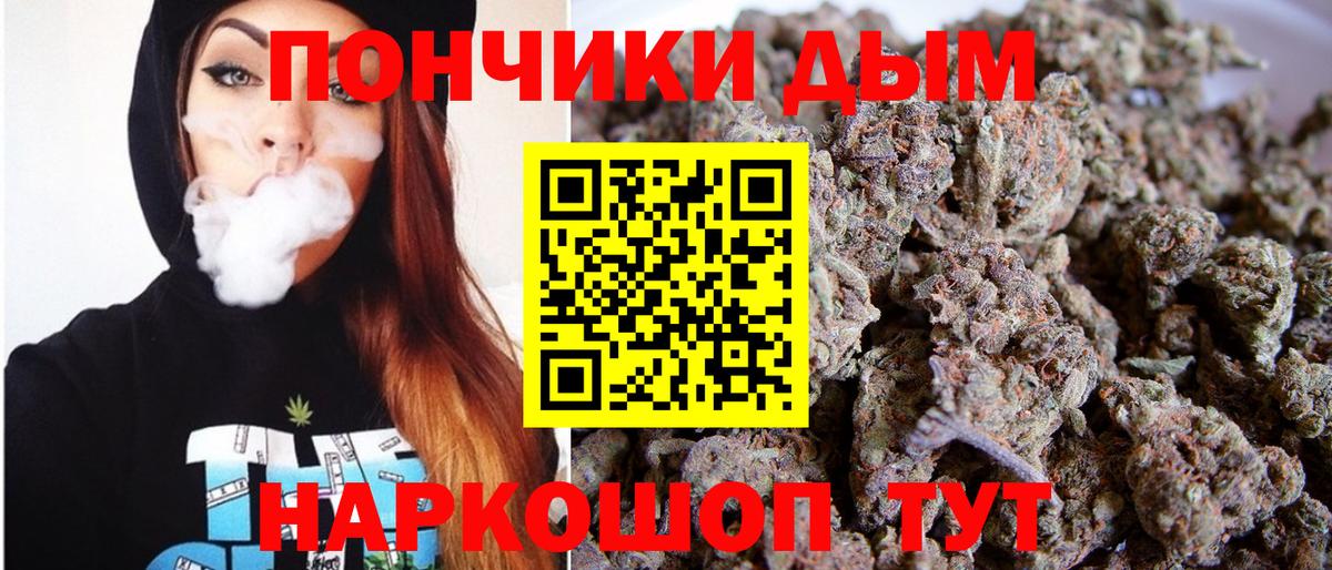 Бошки марихуана ГИДРОПОН Буйнакск